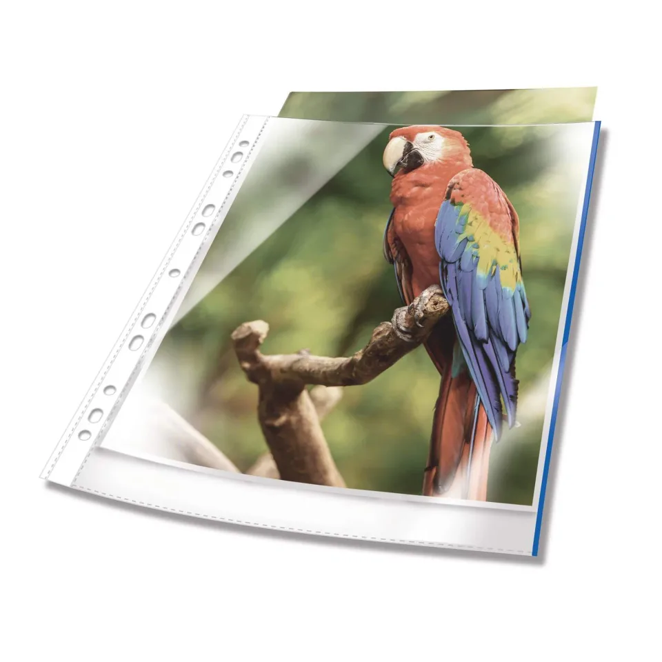 Durable Premium Mape pentru Documente, cu bandă albastră, pachet de 10
