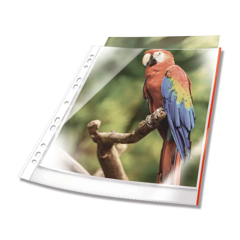 Durable Plic documente Premium, cu margine roșie, 10 bucăți