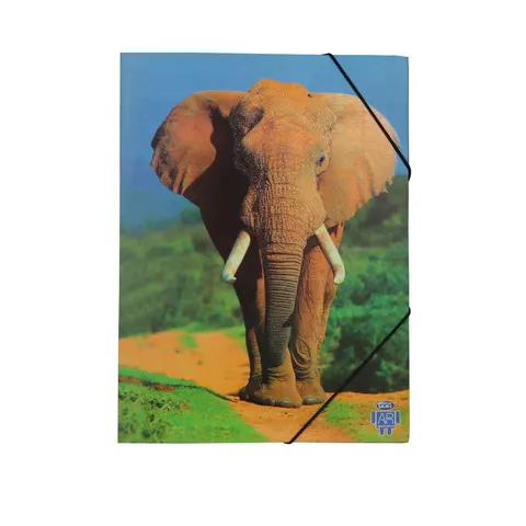 Dosar Skag AR, carton, cu elastic, 25 x 35 cm, elefant
