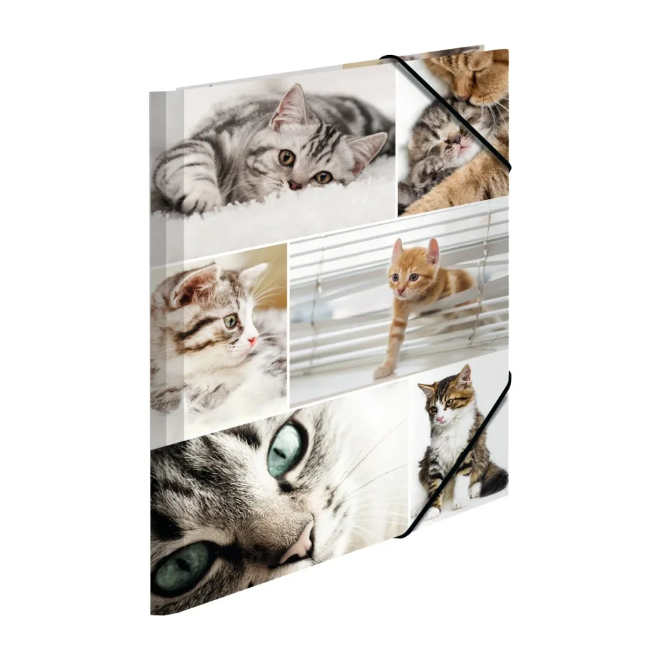 Dosar Herma Animals, carton, cu elastic, A4, pisici