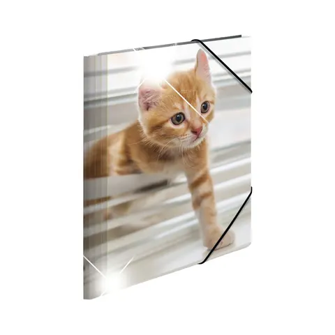 Herma Mapă Animals, carton, cu elastic, A4, PP, pisici