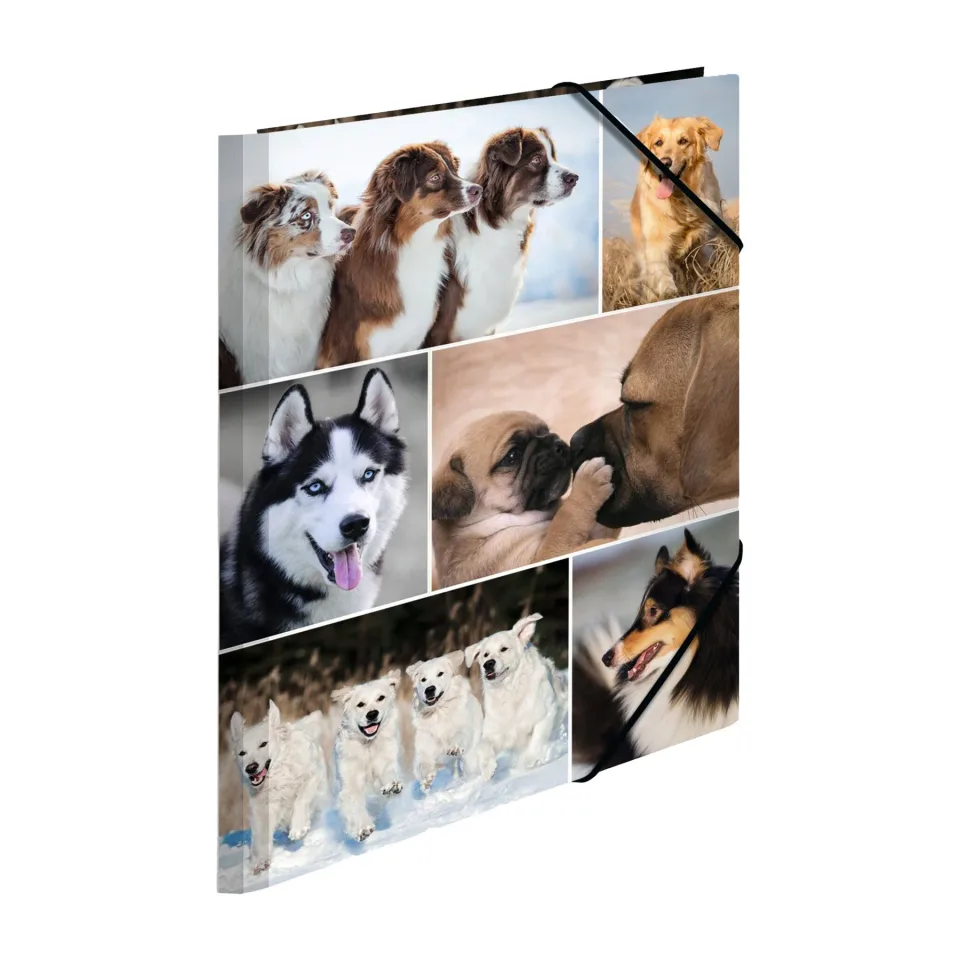 Dosar Herma Animals, carton, cu elastic, A4, câini
