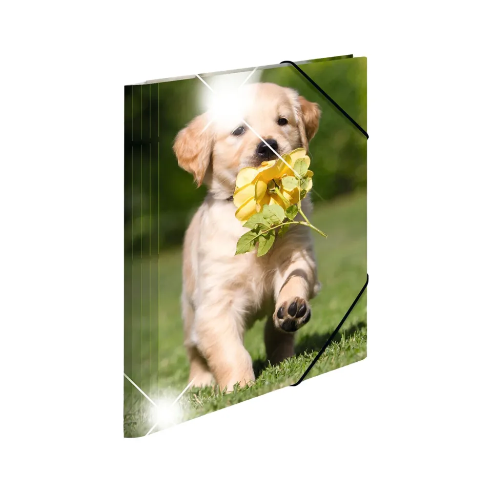 Dosar Herma Animale, carton, cu elastic, A4, PP, câini