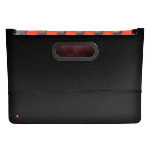 Dosar Exacompta Exactive, tip acordeon, 24 secțiuni, PP, negru
