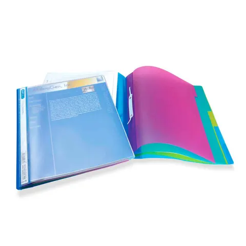 Dosar Rapesco, PP, A4, transparent, cu 5 separatoare