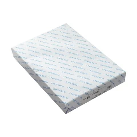 Fabriano Copy Carton Multipaper, 450 x 320 mm, 100 g/m2, lucios, 500 coli