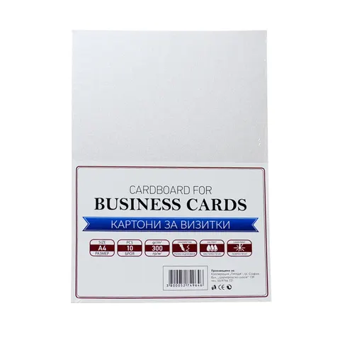 Carton Top, business, A4, 300 g/m², gri deschis, 10 coli