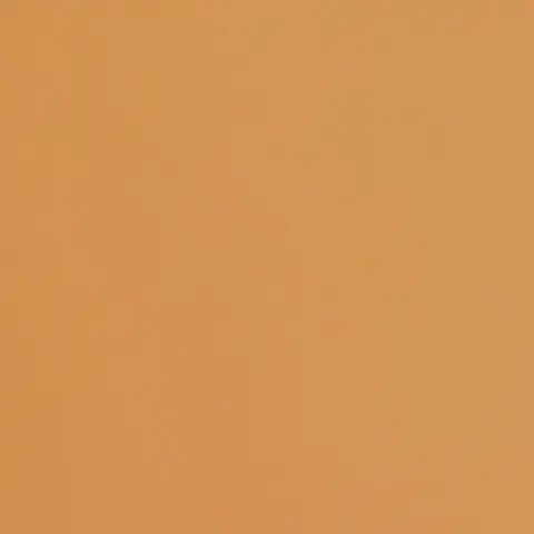 Fabriano Carton Colore, 70 x 100 cm, 200 g/m2, Nr. 223, maro deschis