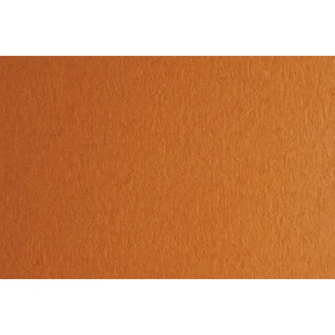 Fabriano Cardboard Colore, 50 x 70 cm, 200 g/m², Nr. 223, maro deschis