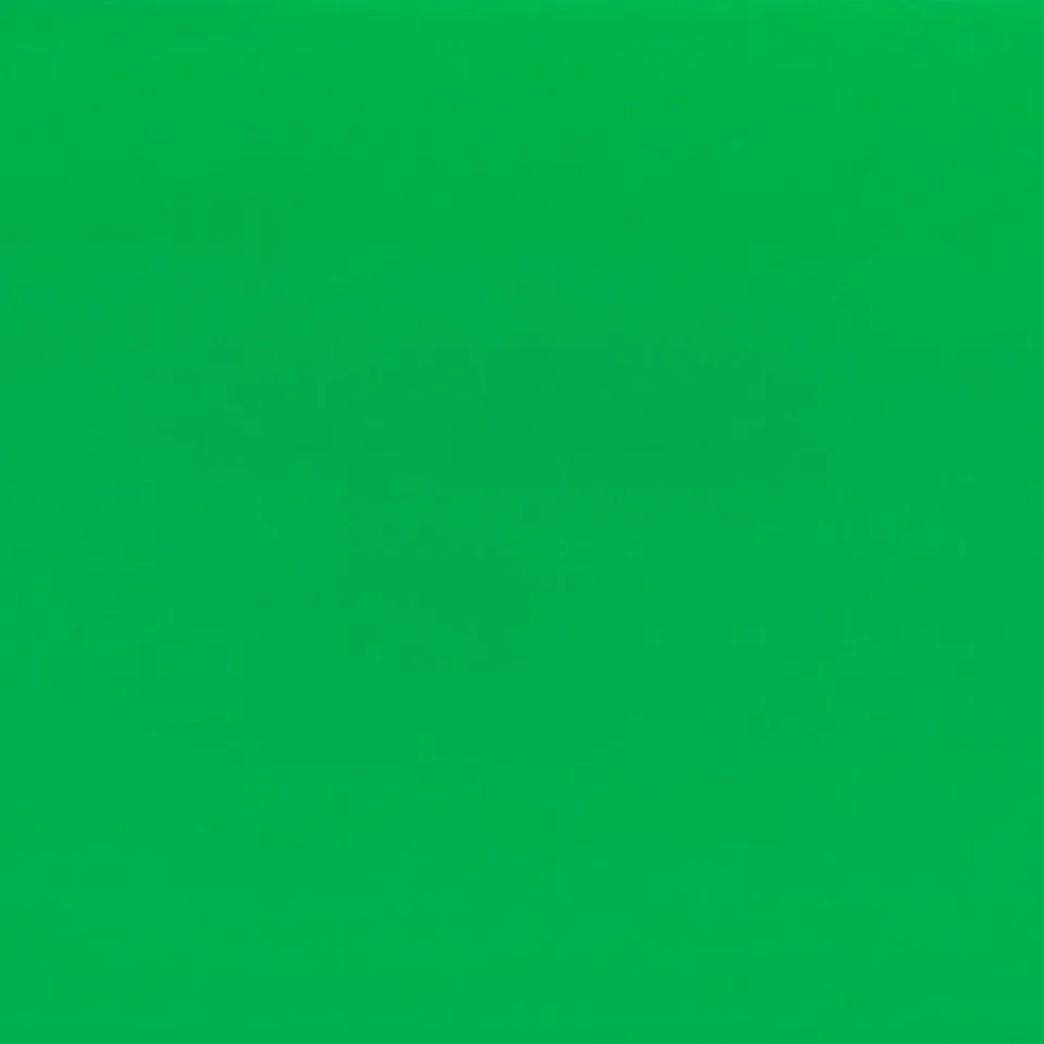 Fabriano Carton Elle Erre, 50 x 70 cm, 220 g/m2, Nr. 111, verde