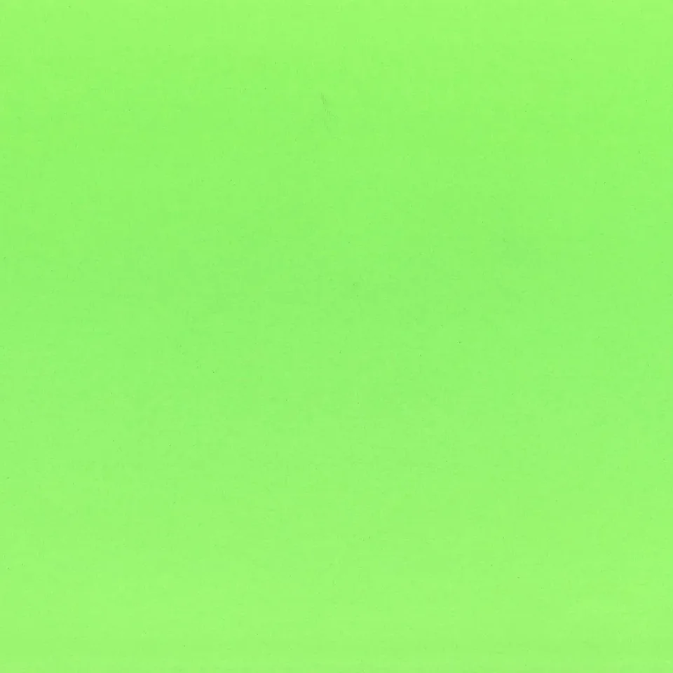 Fabriano Carton Elle Erre, 50 x 70 cm, 220 g/m?, Nr. 110, verde iarbă