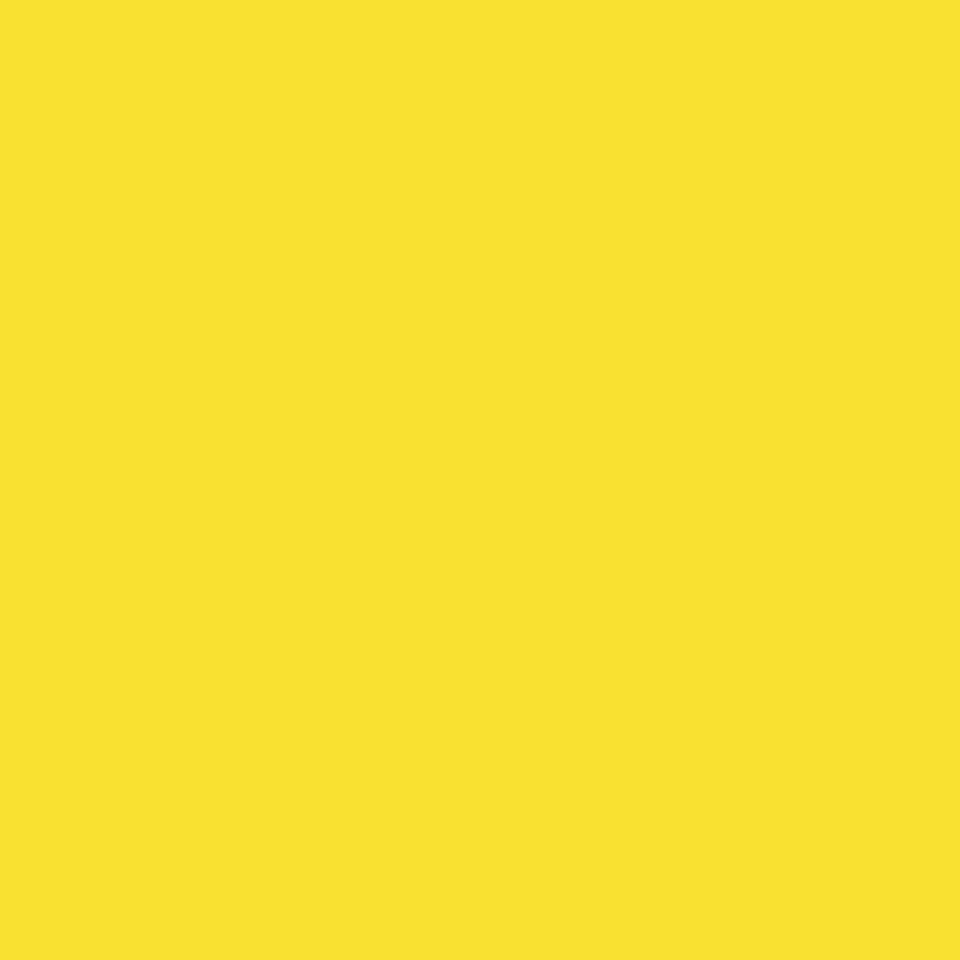 Fabriano Carton Elle Erre, 50 x 70 cm, 220 g/m², Nr. 125, cedru