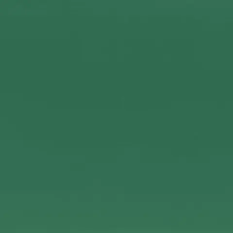 Carton Fabriano Elle Erre, 50 x 70 cm, 220 g/m2, Nr. 128, verde închis