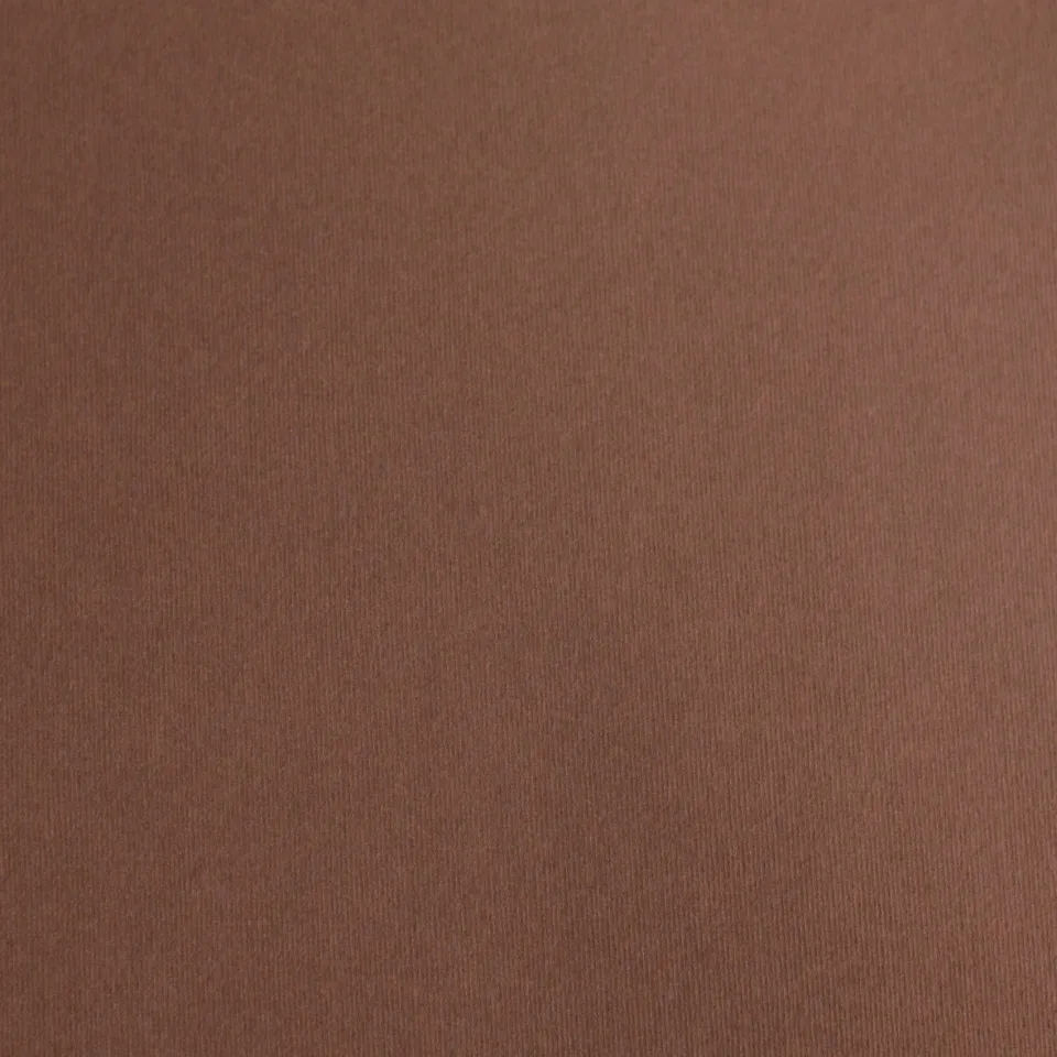 Carton Fabriano Elle Erre, 70 x 100 cm, 220 gsm, Nr. 106, Maro Închis