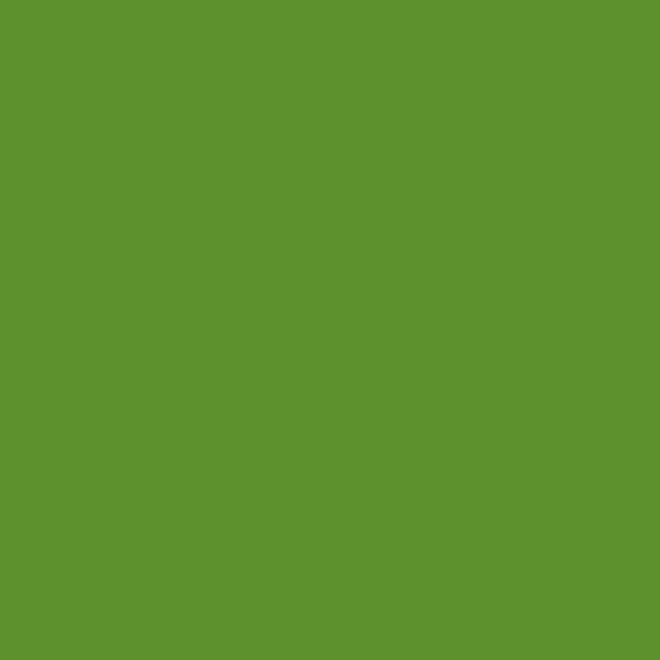 Fabriano Carton Elle Erre, 70 x 100 cm, 220 g/m2, Nr. 110, verde iarbă