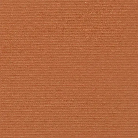 Fabriano Carton Elle Erre, 70 x 100 cm, 220 g/m2, Nr.119, maro deschis