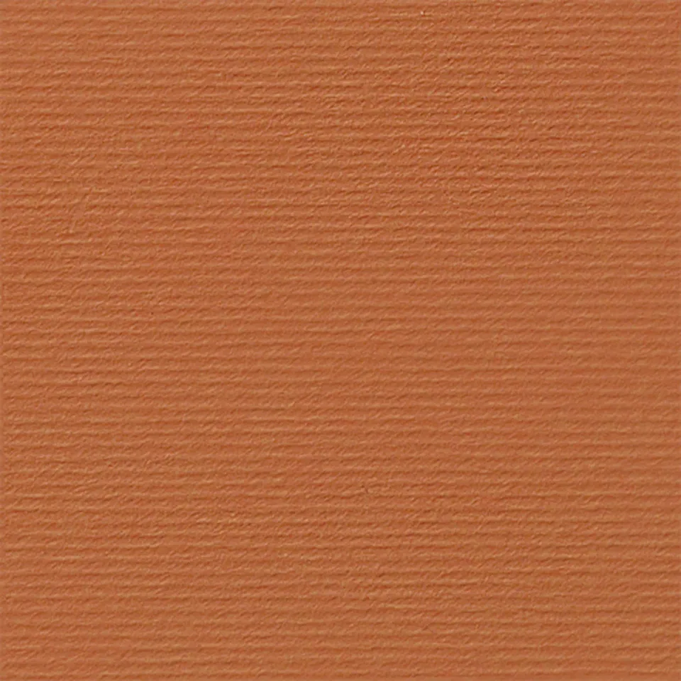 Fabriano Carton Elle Erre, 70 x 100 cm, 220 g/m2, Nr.119, maro deschis