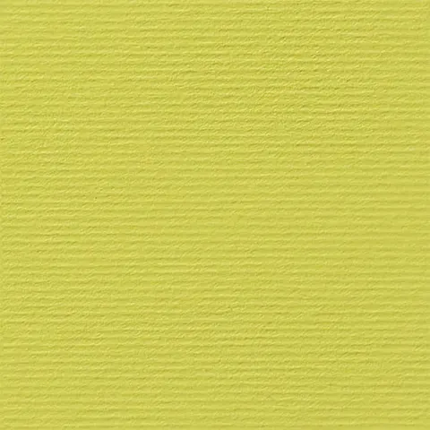 Fabriano Carton Elle Erre, 70 x 100 cm, 220 g/m², Nr. 125, cedru