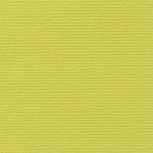 Fabriano Carton Elle Erre, 70 x 100 cm, 220 g/m², Nr. 125, cedru
