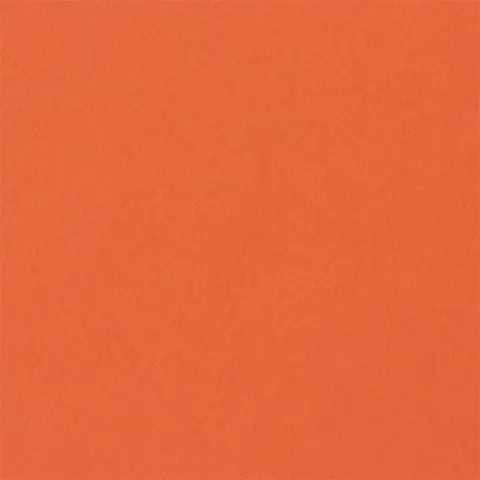 Fabriano Carton Elle Erre, 70 x 100 cm, 220 g/m?, Nr. 126, portocaliu