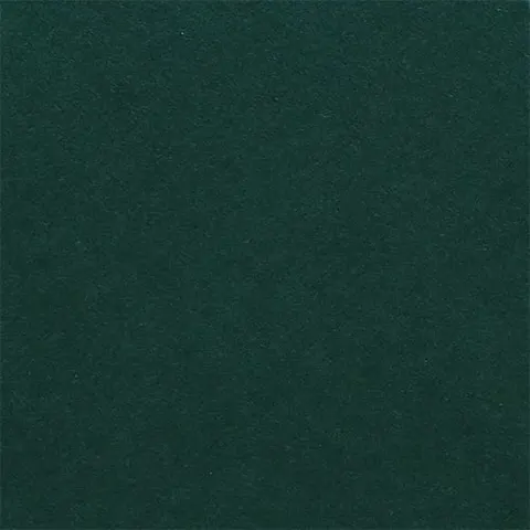 Fabriano Carton Elle Erre, 70 x 100 cm, 220 g/m2, Nr. 128, verde închis
