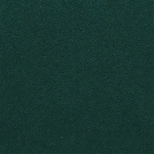 Fabriano Carton Elle Erre, 70 x 100 cm, 220 g/m2, Nr. 128, verde închis