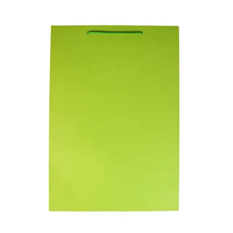 Pungă cadou, 31 x 42 x 12 cm, verde