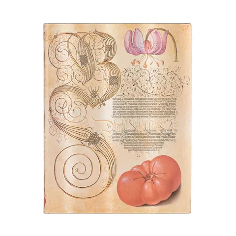 Paperblanks Caiet Lily&Tomato, Ultra, copertă moale, 88 file