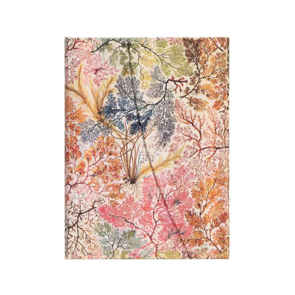 Carnet Paperblanks Anemone, Midi, cu linii largi, copertă tare, 72 foi
