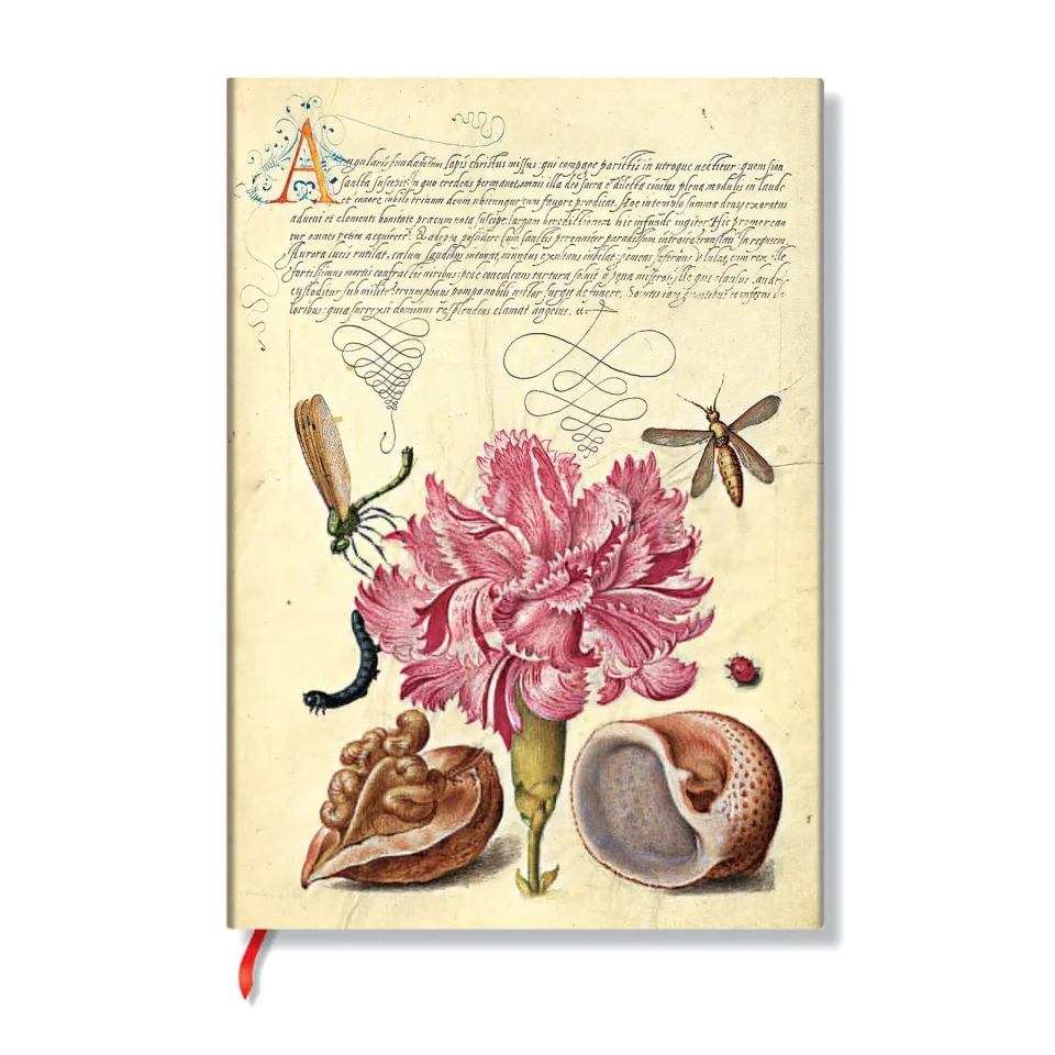 Carnet Paperblanks Pink Carnation, Midi, cu linii, copertă moale, 88 coli