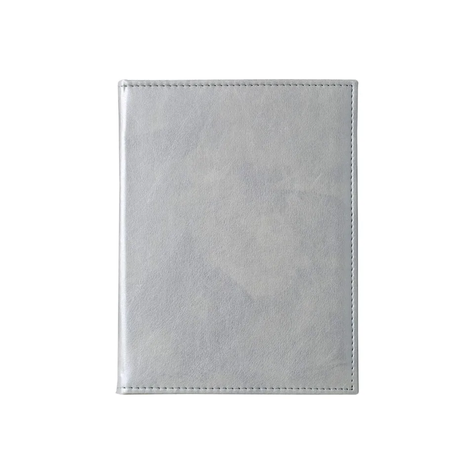 Organizer, A5, cu inele, 100 foi, argintiu