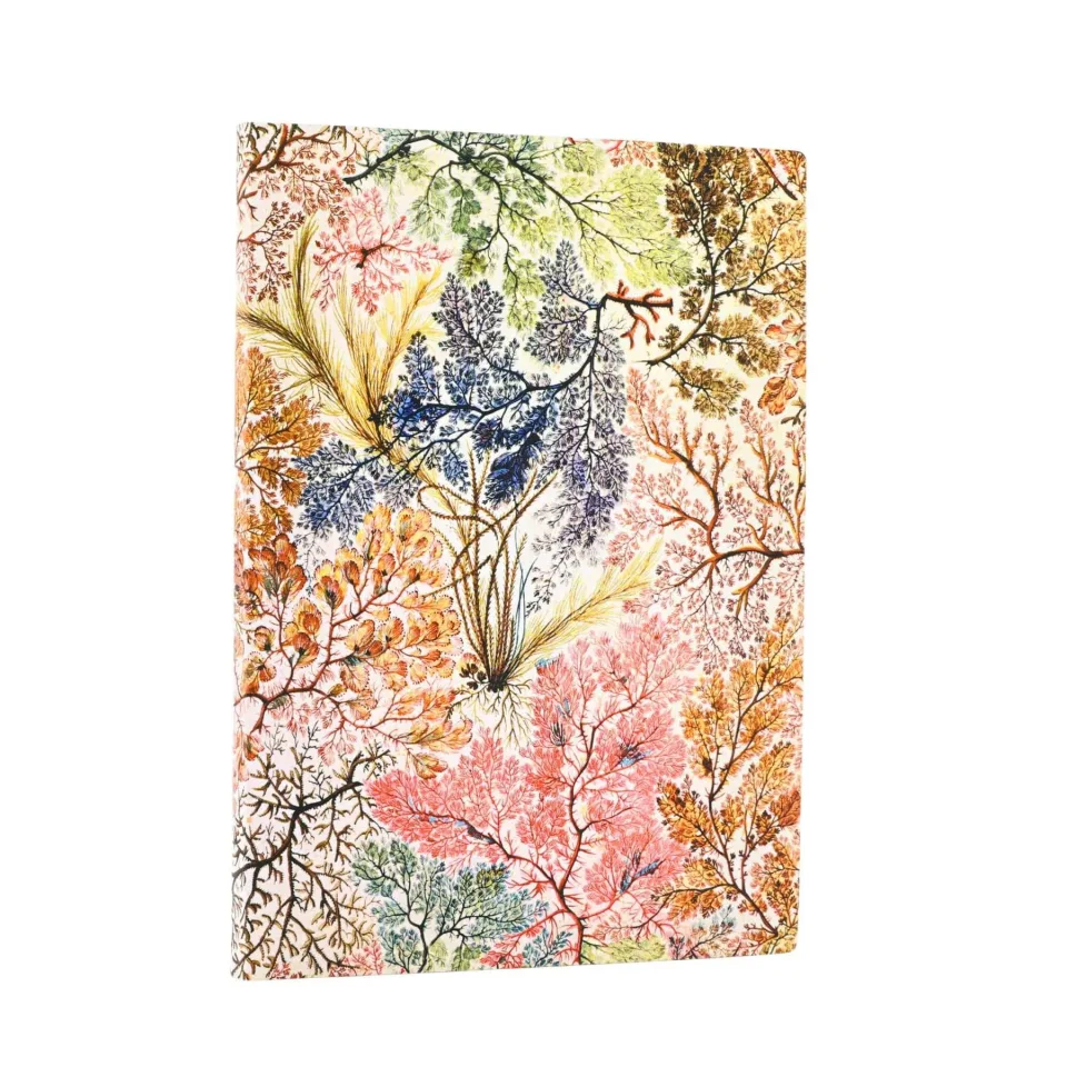 Paperblanks Caiet Anemone, Midi, Copertă moale, 88 file