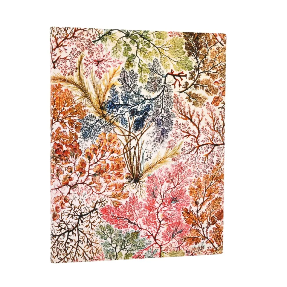Paperblanks Caiet Anemone, Ultra, dictando, copertă moale, 88 file