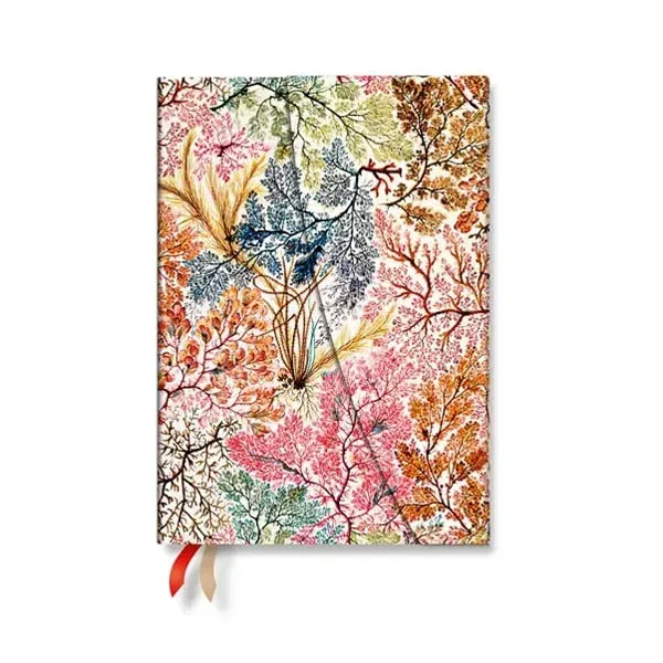 Agenda Paperblanks Anemone, Midi, Verso, copertă tare, 88 pagini, pentru 2027