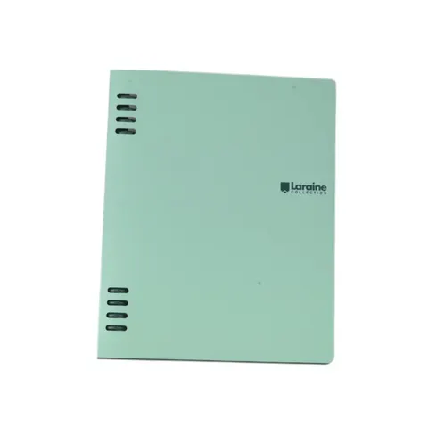 Sworld Organizer, A5, cu 5 compartimente, verde deschis