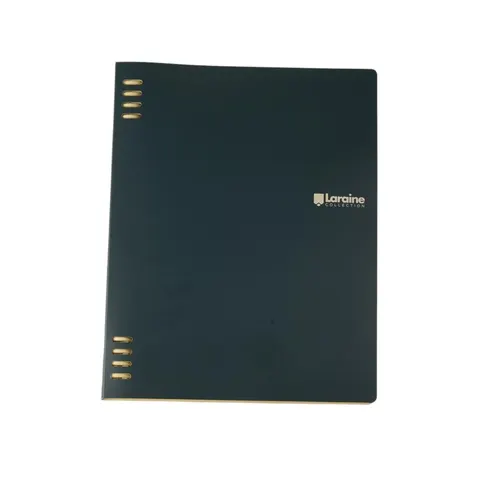Sworld Organizer, B5, cu 5 separatoare, verde