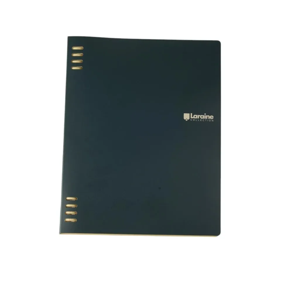 Sworld Organizer, B5, cu 5 separatoare, verde