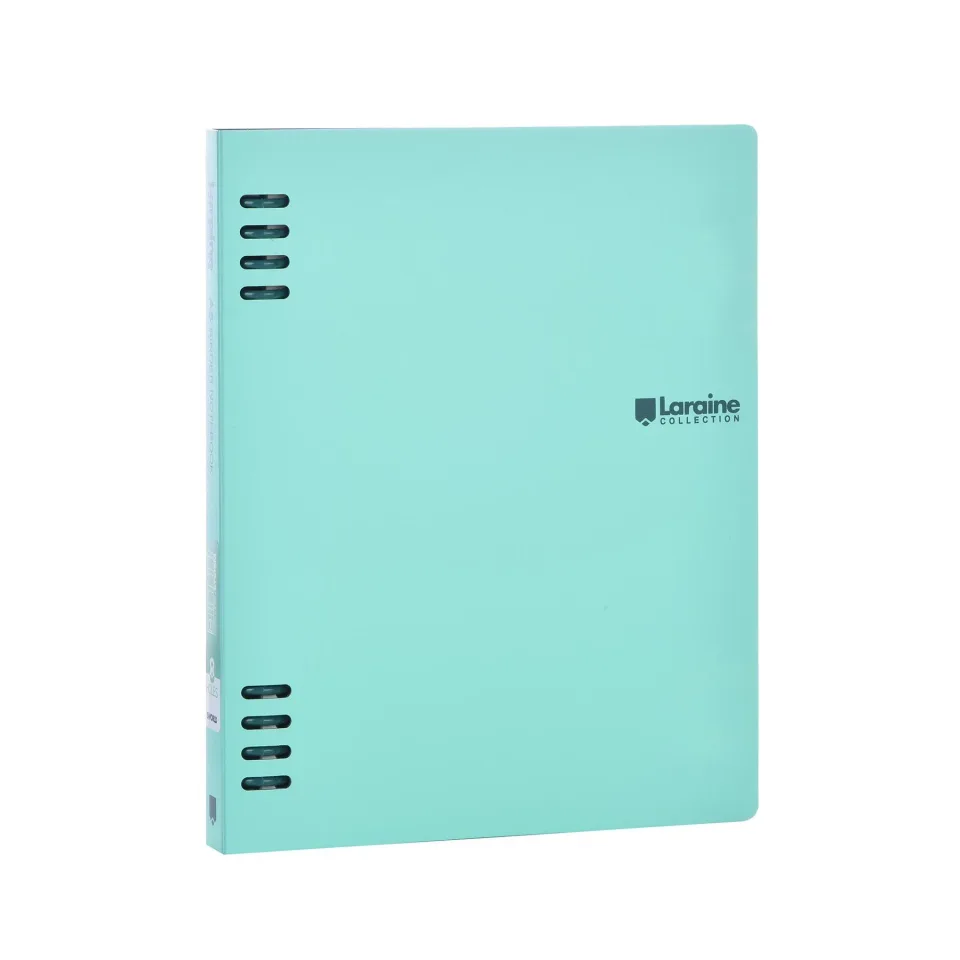 Sworld Organizer, B5, cu 5 separatoare, mentă
