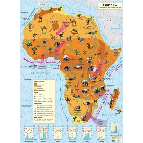 Hartă de perete a Africii, climatică, 100 x 140 cm, laminată