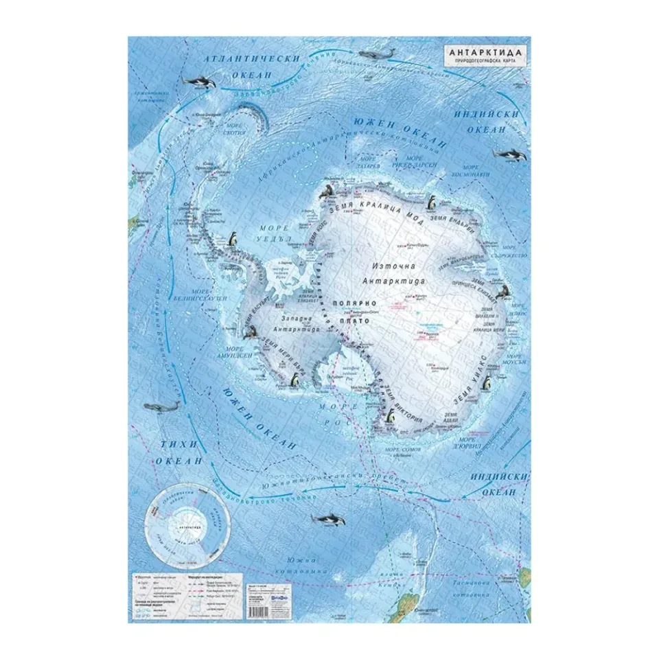 DataMap Hartă fizico-geografică a Antarcticii, 70 x 100 cm