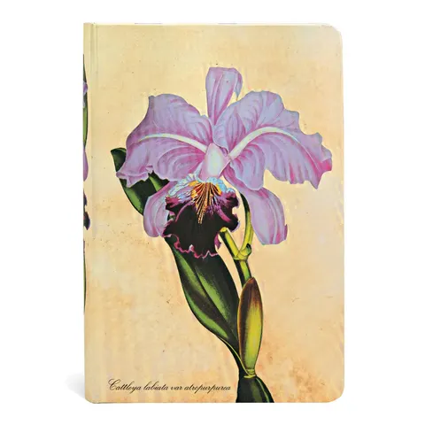 Paperblanks Jurnal Brazilian Orchid, Mini, 88 file