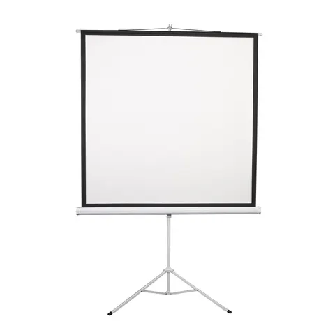 Ecran de proiecție Lumi, 200 x 200 cm, pe suport