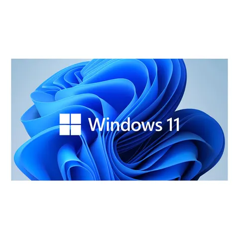 Windows 11 Home 64 Bit, engleză, OEM, DVD