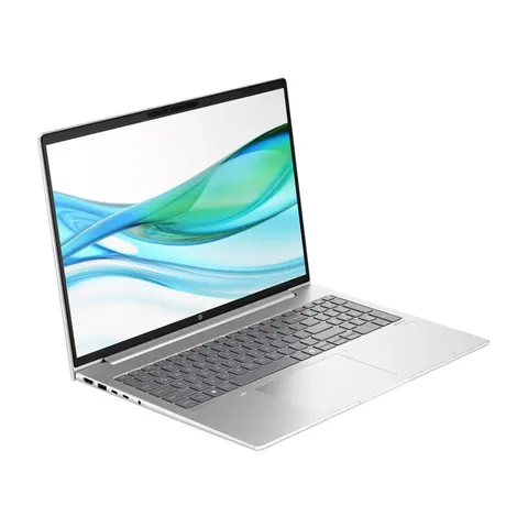 Laptop HP Probook 465 G11, 16'', AMD Ryzen 5, IPS WUXGA, 512 GB SSD, 16 GB RAM, AMD Radeon RX 6600M, argintiu