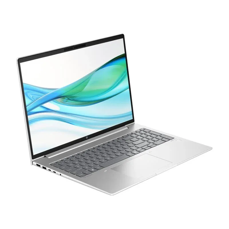 Laptop HP Probook 465 G11, 16'', AMD Ryzen 5, IPS WUXGA, 512 GB SSD, 16 GB RAM, AMD Radeon RX 6600M, argintiu