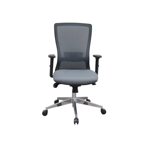 Scaun de birou RFG Ergo 06 W, Gri