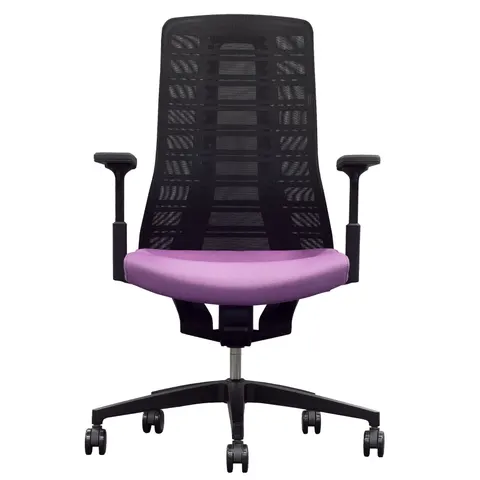 Scaun ergonomic Interstuhl Pure PU213, negru/mov