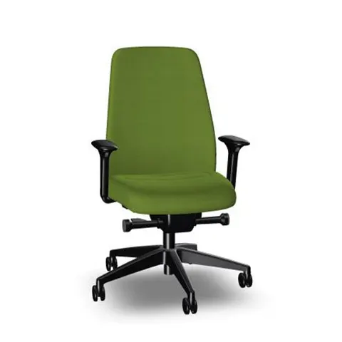 Scaun ergonomic Interstuhl Every EV116, verde