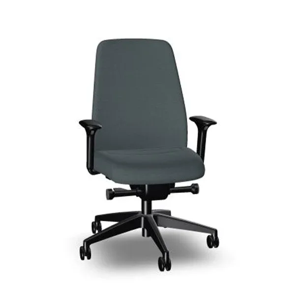 Scaun ergonomic Interstuhl Every EV116, tapițerie din țesătură, mecanism sincron, bază din poliamidă, gri
