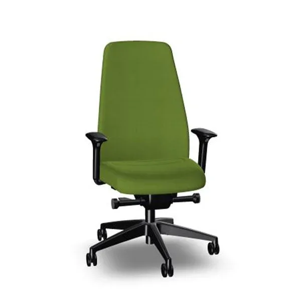 Scaun ergonomic Interstuhl Every EV117, verde